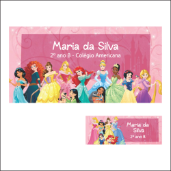 ETIQUETA ESCOLAR PRINCESAS  KIT 18 UN 8X4 E 90 UN 4X1,5 CM PROVA - CÓPIA - CÓPIA - CÓPIA-0
